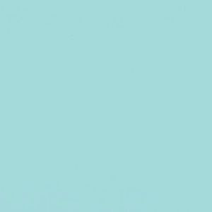 Meet your Posher, Shanna